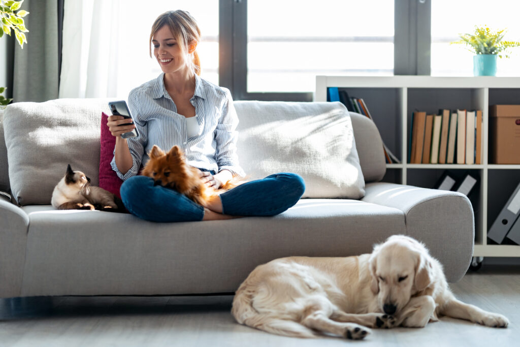 Smiling woman sitting on clean sofa with pets in fresh, bright home - no pet odor worries
